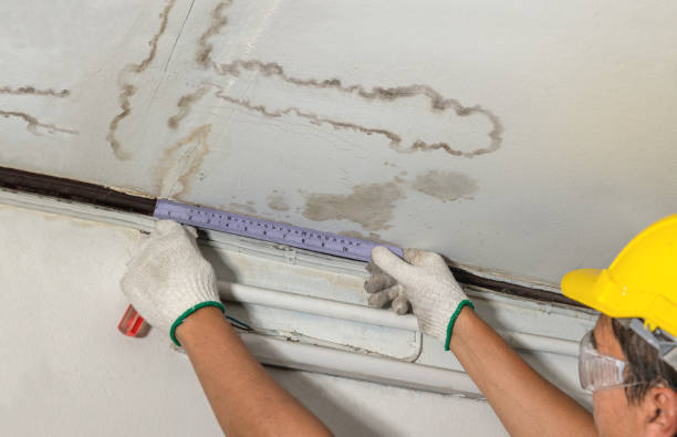 Reliable Sewage Cleanup contractor in Quincy, OH by Water Damage Irwin